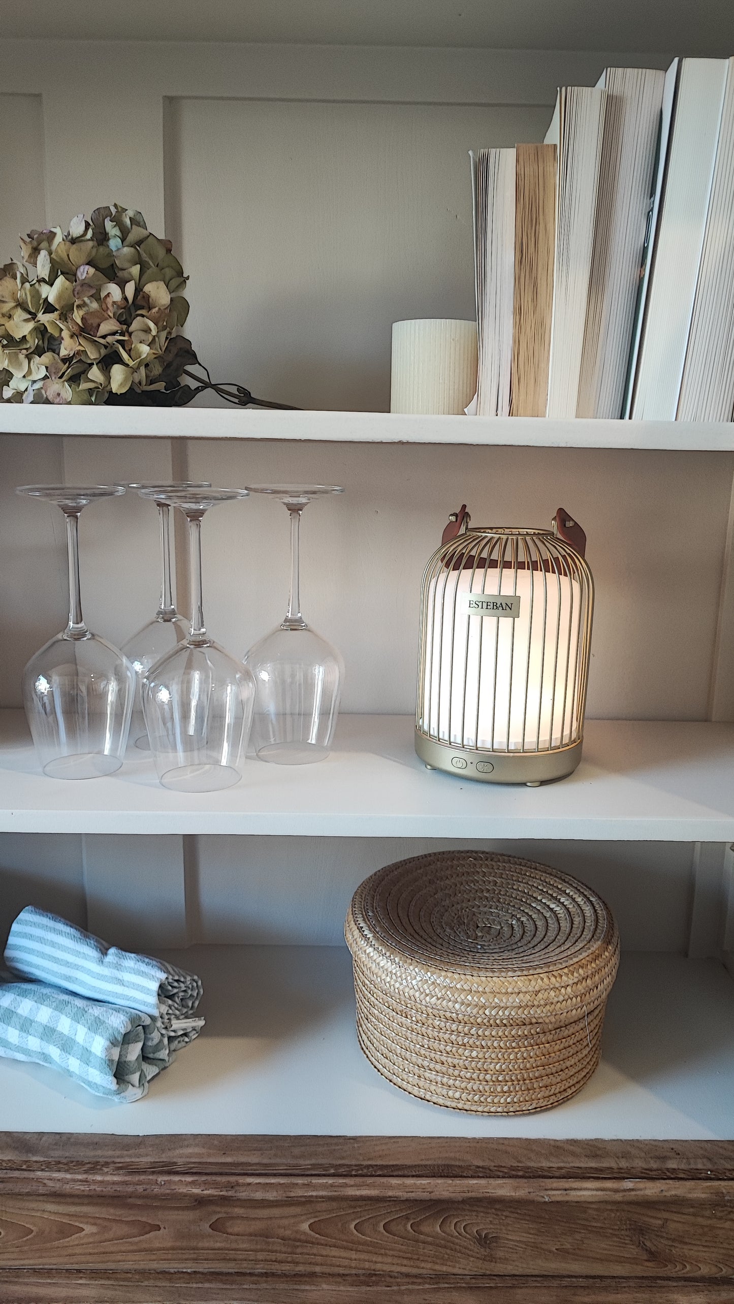 Vitrine basse