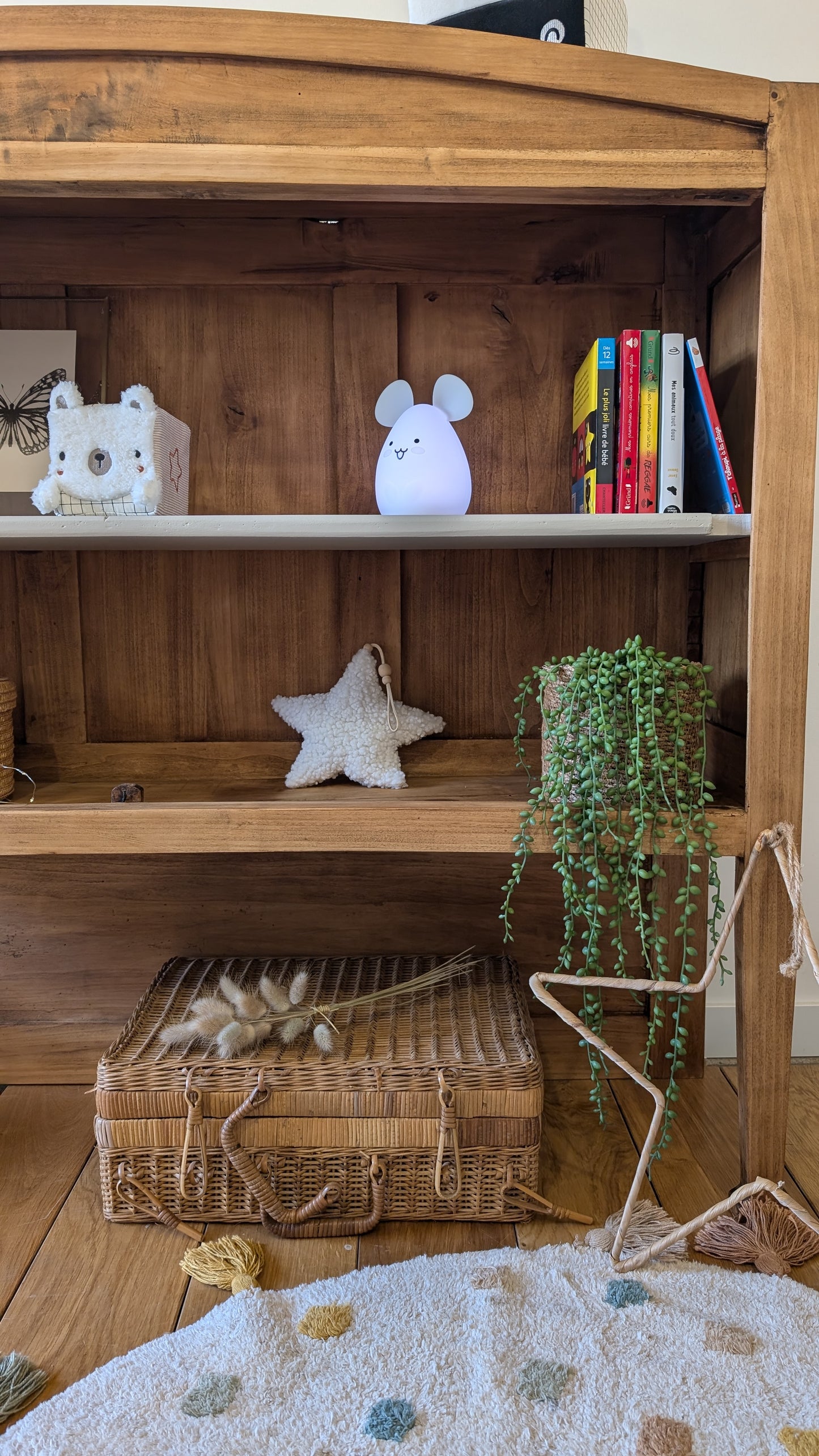 Bibliothèque enfant